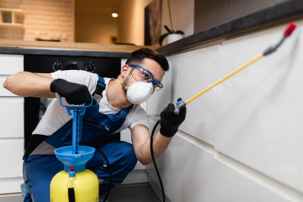 Best Pest Prevention Services  in Mount Pleasant, TX