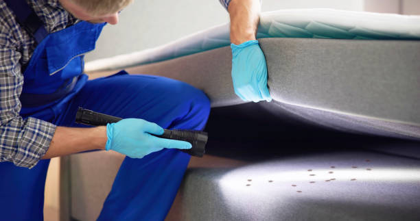 Mount Pleasant, TX Pest Control Company