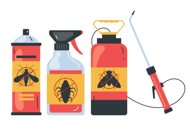Insect Control in Mount Pleasant, TX