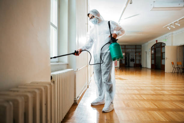 Best Pest Removal Services  in Mount Pleasant, TX